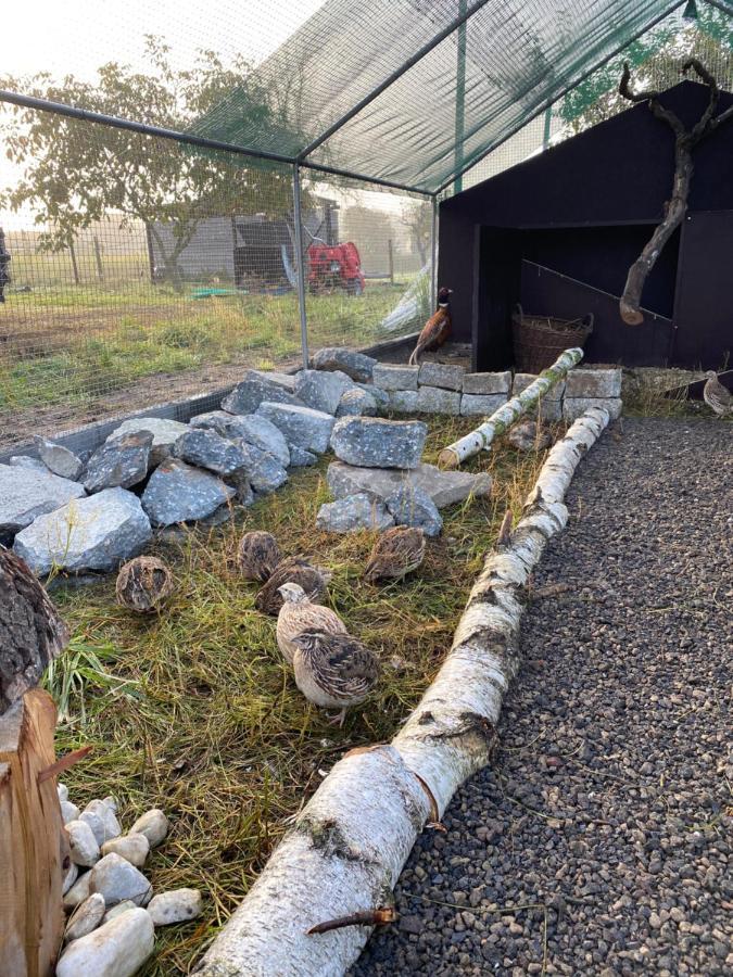 Ferienwohnung Auf Dem Bauernhof كوتبوس المظهر الخارجي الصورة